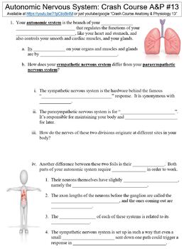 Crash Course Anatomy Physiology #13 (Autonomic Nervous System) worksheet