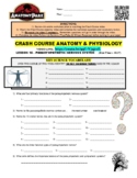 Crash Course Anatomy & Physiology #15 - Parasympathetic Ne