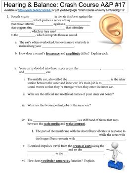 Preview of Crash Course Anatomy & Physiology #17 (Hearing & Balance) worksheet