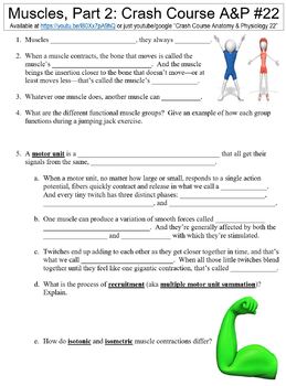 Preview of Crash Course Anatomy & Physiology #22 (Muscles, Part 2 - Organismal) worksheet