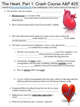 Preview of Crash Course Anatomy & Physiology #25 (The Heart, Part 1) worksheet