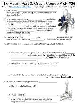 Preview of Crash Course Anatomy & Physiology #26 (The Heart, Part 2) worksheet
