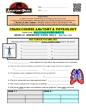 Crash Course Anatomy & Physiology #31 - Respiratory System