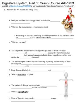 Preview of Crash Course Anatomy & Physiology #33 (Digestive System, Part 1) worksheet