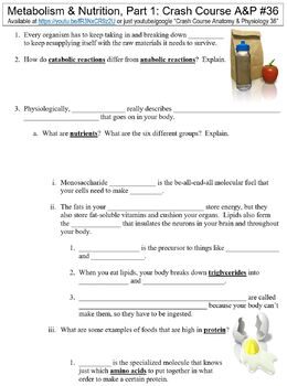 Preview of Crash Course Anatomy & Physiology #36 (Metabolism & Nutrition, Part 1) worksheet