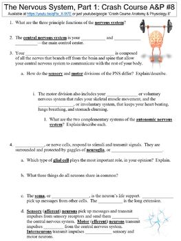 Preview of Crash Course Anatomy & Physiology #8 (The Nervous System, Part 1) worksheet