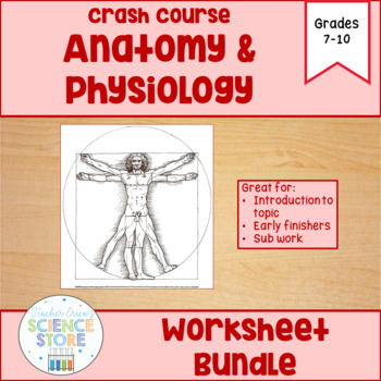 Preview of Crash Course Anatomy & Physiology Video Worksheet Bundle