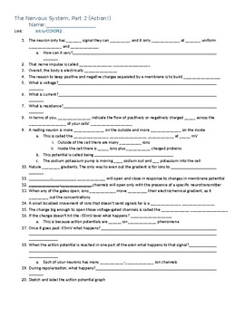 Preview of Crash Course Anatomy and Physiology: The Nervous system part 2 Action Potentials