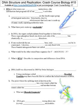 Preview of Crash Course Biology #10 (DNA Structure and Replication) worksheet