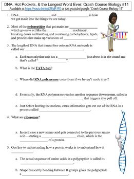 Crash Course Biology #11 (DNA, Hot Pockets, & the Longest Word Ever ...