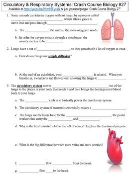 Crash Course Biology #27 (Circulatory & Respiratory Systems) worksheet