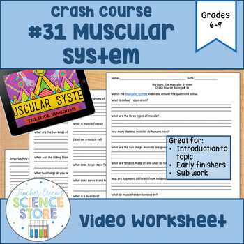 Preview of Crash Course- Biology: #31 The Muscular System Video Worksheet