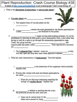 Plant Reproduction Worksheets Teachers Pay Teachers