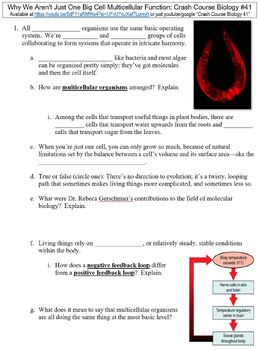 Preview of Crash Course Biology #41 (Multicellular Function) worksheet