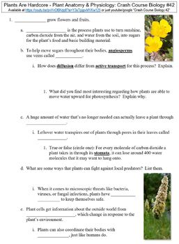 Preview of Crash Course Biology #42 (Plant Anatomy & Physiology) worksheet