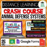 Crash Course Biology #45 Animal Defense Systems Video Guid