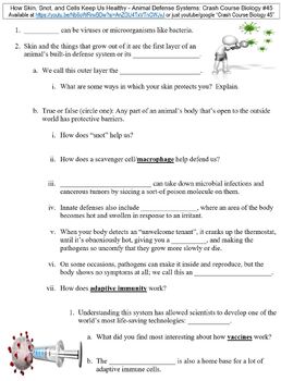 Preview of Crash Course Biology #45 (How Skin, Snot, and Cells Keep Us Healthy) worksheet