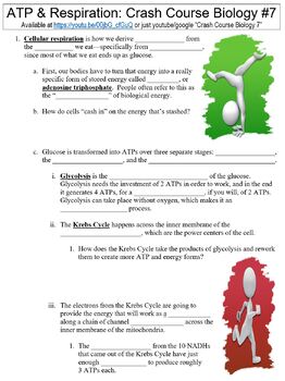 Preview of Crash Course Biology #7 (ATP & Respiration) worksheet