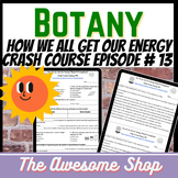 Crash Course Botany #13 How We ALL Get Our Energy (Plants 