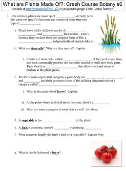 Preview of Crash Course Botany #2 (What are Plants Made Of?) worksheet