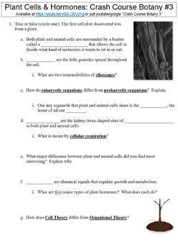 Preview of Crash Course Botany #3 (Plant Cells & Hormones) worksheet