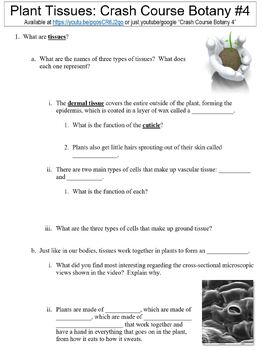 Preview of Crash Course Botany #4 (Plant Tissues) worksheet