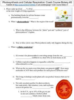 Preview of Crash Course Botany #5 (Photosynthesis and Cellular Respiration) worksheet