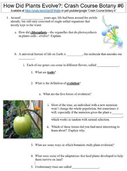 Preview of Crash Course Botany #6 (How Did Plants Evolve?) worksheet