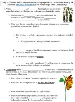Preview of Crash Course Botany #9 (Gymnosperms & Angiosperms) worksheet