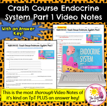 Preview of Crash Course Endocrine System Part 1 Video Notes | NO PREP!