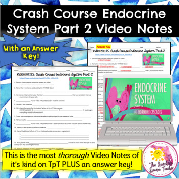 Preview of Crash Course Endocrine System Part 2 Video Notes | NO PREP!