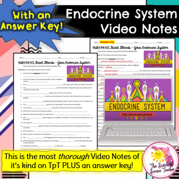 Preview of Crash Course Great Glands Endocrine System Video Notes | NO PREP!