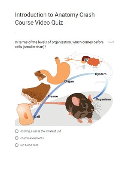 Crash Course Introduction the Anatomy and Physiology QUIZ by stephanie  penrose
