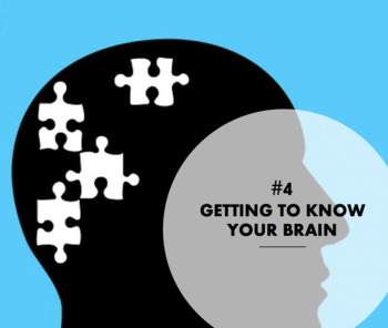 Crash Course Psychology #4: Getting to Know Your Brain (Crossword Puzzle)