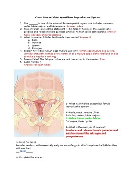 Preview of Crash Course The Reproductive System Worksheet Questions and KEY