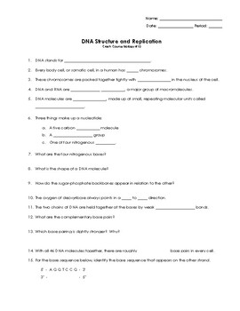 Dna Structure And Replication Worksheet : 1 / Dna structure, function and replication 1 dna molecules contain our genes.