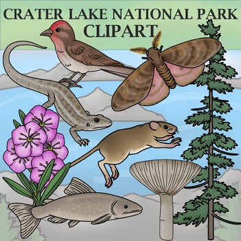 Preview of Crater Lake National Park Clip Art - Plants and Animals of the National Parks