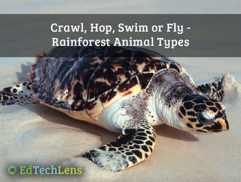 Preview of Crawl, Hop, Swim or Fly: Rainforest Animal Types - Interactive Unit eBook