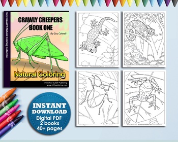 Download Crawly Creepers Coloring Book Set 2 Books Instant Pdf Download By Ecp