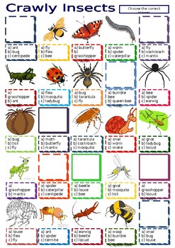 Crawly Insects by oman chihab | TPT