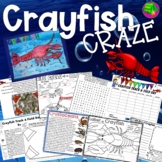 Crayfish Activities