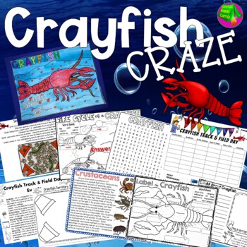 crayfish diagram no labels