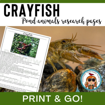 Preview of Crayfish nonfiction article pond animal research page for reading and writing