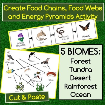 Preview of Create a Food Chain, Web & Energy Pyramid for 5 Biomes Cut & Paste Application