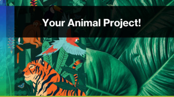 Preview of Create Your Own Animal -- Project