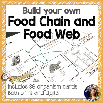 Preview of Create Your Own Food Chain and Web