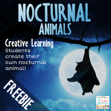 Nocturnal Animals - Creative Writing Freebie