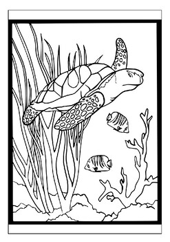 coloring turtle pages