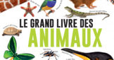 Create a Book about Animals in French