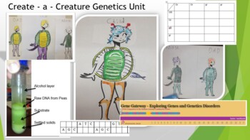 Preview of Create - a - Creature Genetics Unit